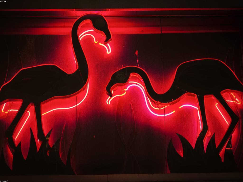 និន្នាការថ្មីក្នុងការពិភាក្សាអំពីកាស៊ីណូ