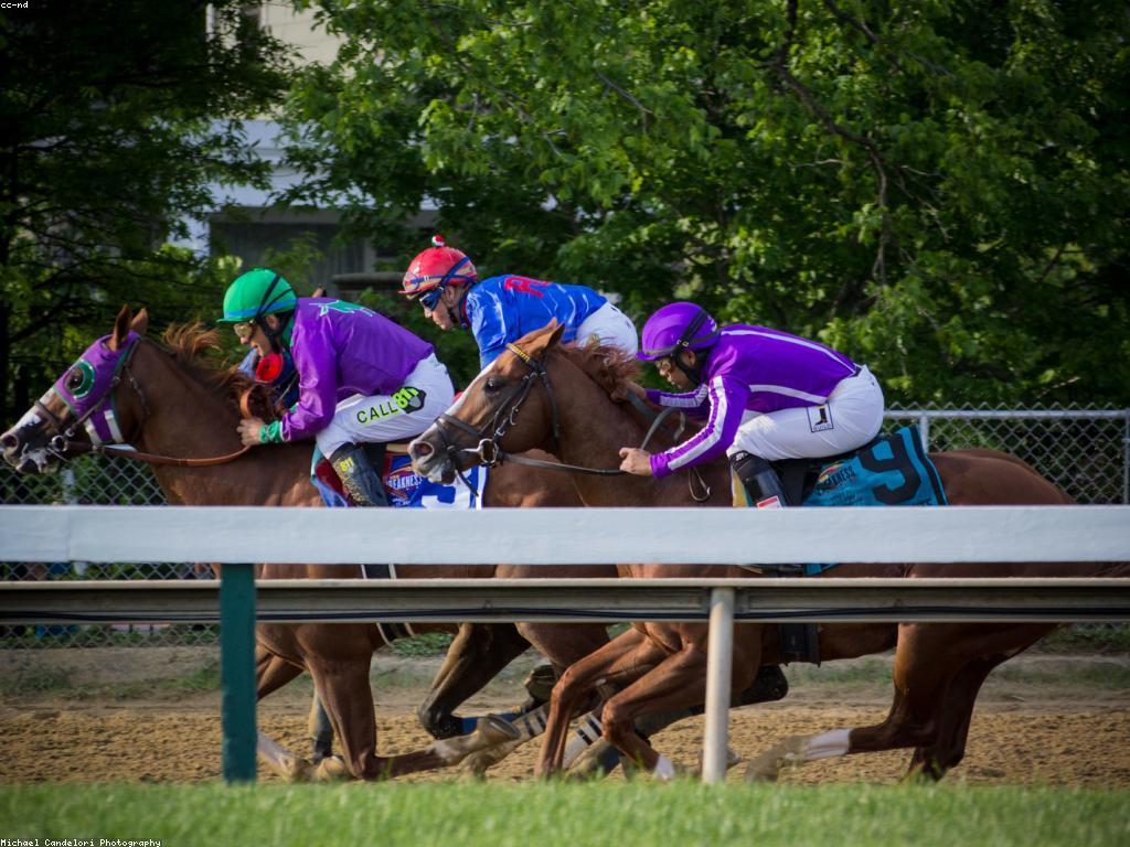 ការយល់ដឹងអំពីការពិភាក្សាអំពីកាស៊ីណូ