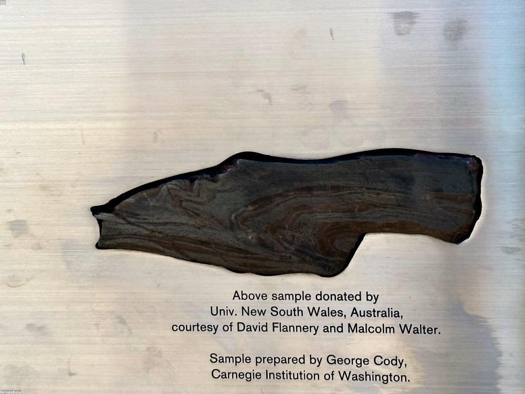 វិធីការចូលរួមក្នុងសង្គម។